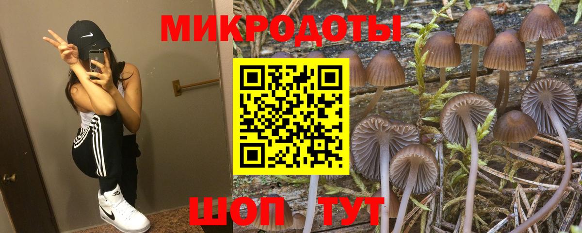 Псилоцибиновые грибы прущие грибы Вологда