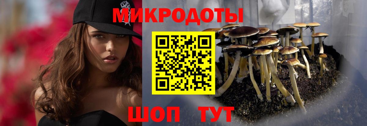 Вологда  Псилоцибиновые грибы Cubensis  Вход с VPN  Псилоцибиновые грибы ЛСД 